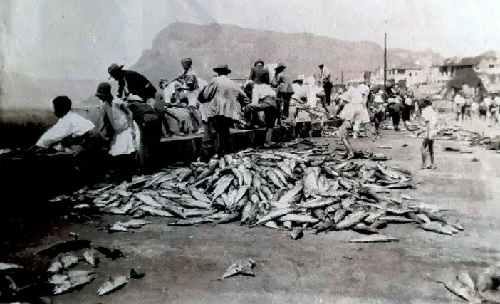 Fisherman